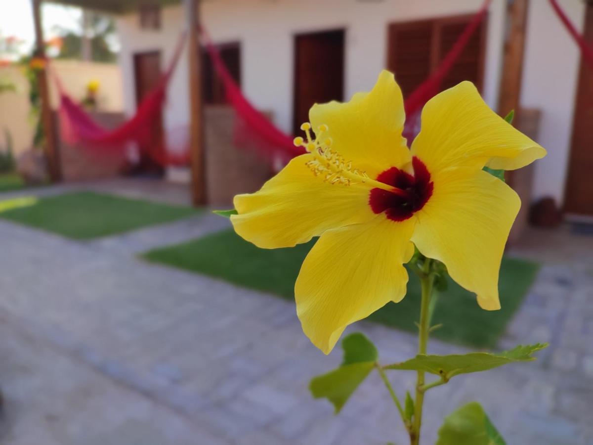 Suites De Ventto Em Popa - Sao Miguel Do Gostso Сао Мигел до Гостосо Екстериор снимка
